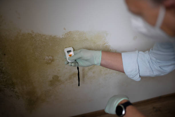 Best Post-Remediation Services in Hardwick, GA