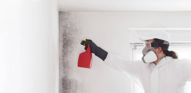 Best Mold Testing and Inspection Services in Hardwick, GA