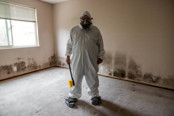 Trusted Hardwick, GA Mold Remediation Experts